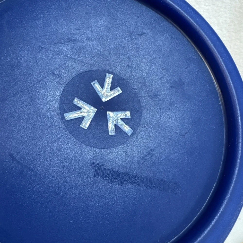Tupperware White Canister Set 2 Piece Blue‎ Lids 2418B 2420B